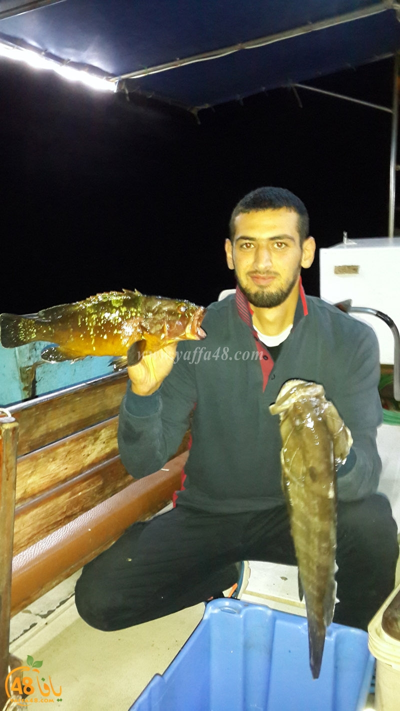 isma3el abo el teef (2).jpg